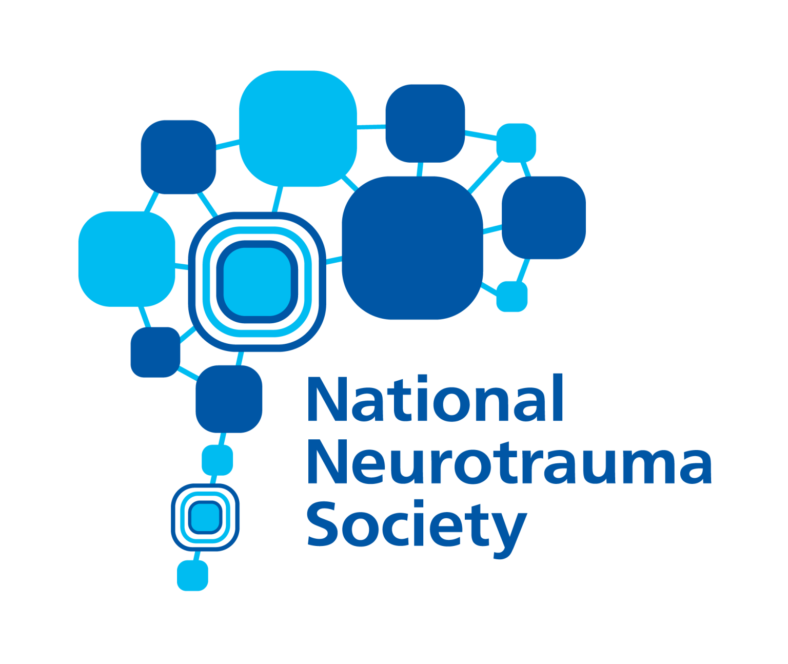 Organizing Societies NNS 2025