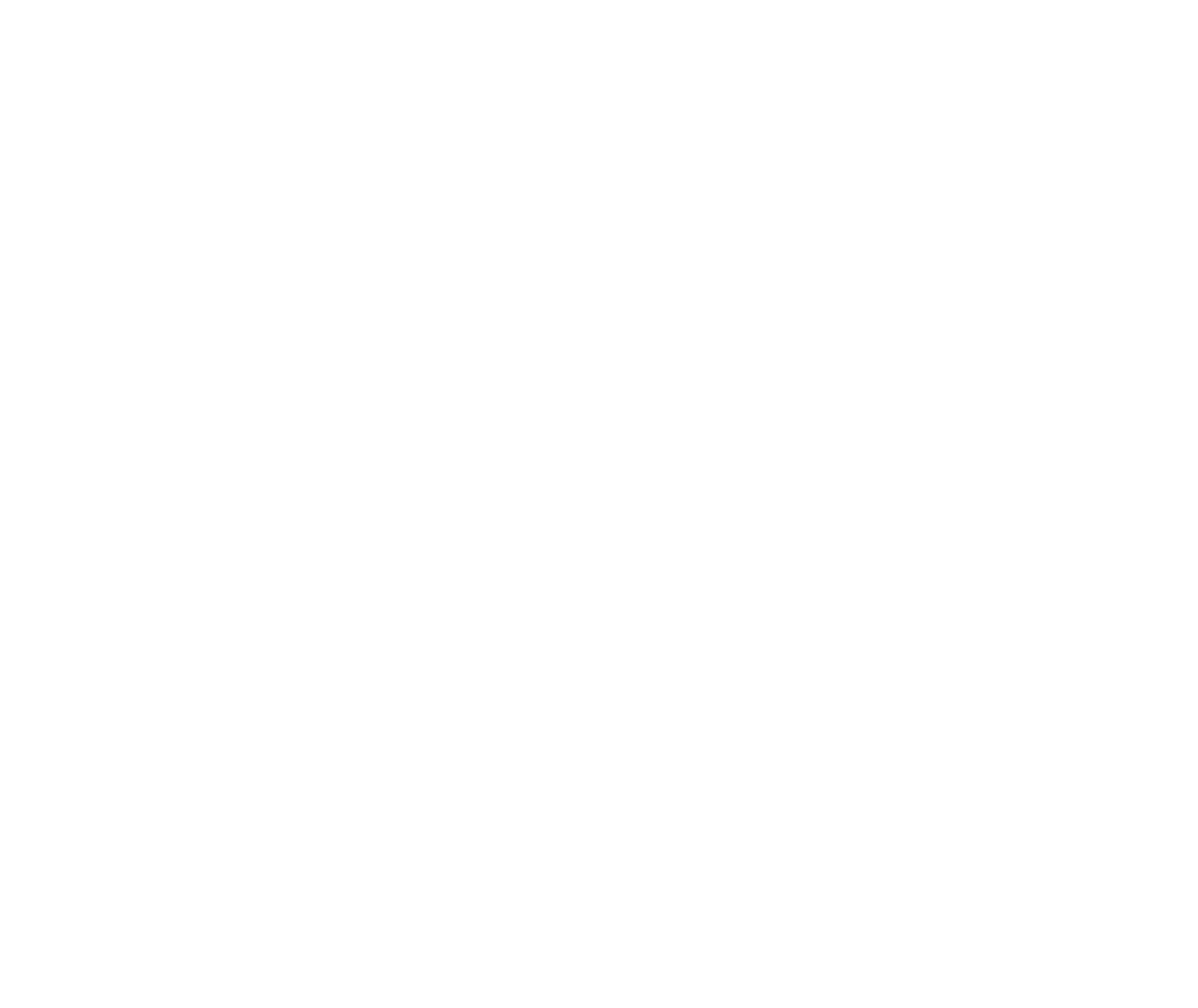 About CME NNS 2024